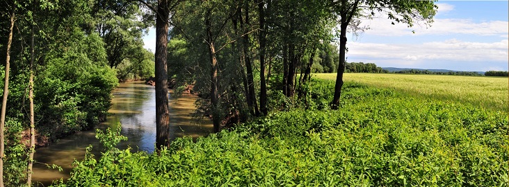 Opening ceremony and cycling trip along the Austrian-Hungarian border section of the newest Eurovelo-route, the Iron Curtain Trail